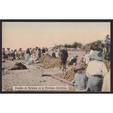 CORRIENTES ANTIGUA TARJETA POSTAL COSECHA DE NARANJAS A COLOR